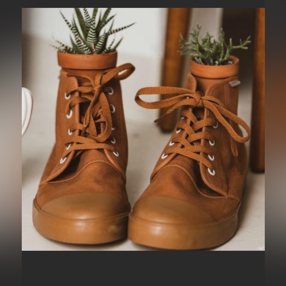 BANGS, sahara high top size 8 sneaker